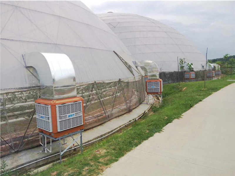 溫室大棚通風(fēng)降溫設(shè)備|潤(rùn)東方環(huán)?？照{(diào)