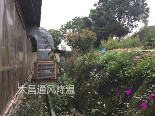 餐廳太熱？環(huán)?？照{(diào)為你送清風(fēng)